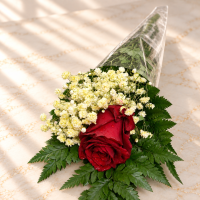 Single Rose